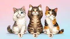 Test psychologiczny: wybierz kociaka i odkryj to, co ukryte w twojej samoocenie